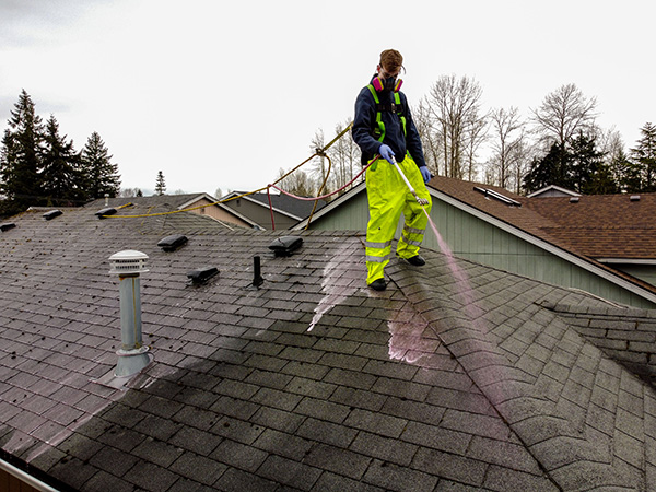 roof washing professional washing roof in yellow trousers